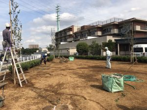 鴨場芝張り工事と芝の種類について 徳寿園 埼玉県川口市