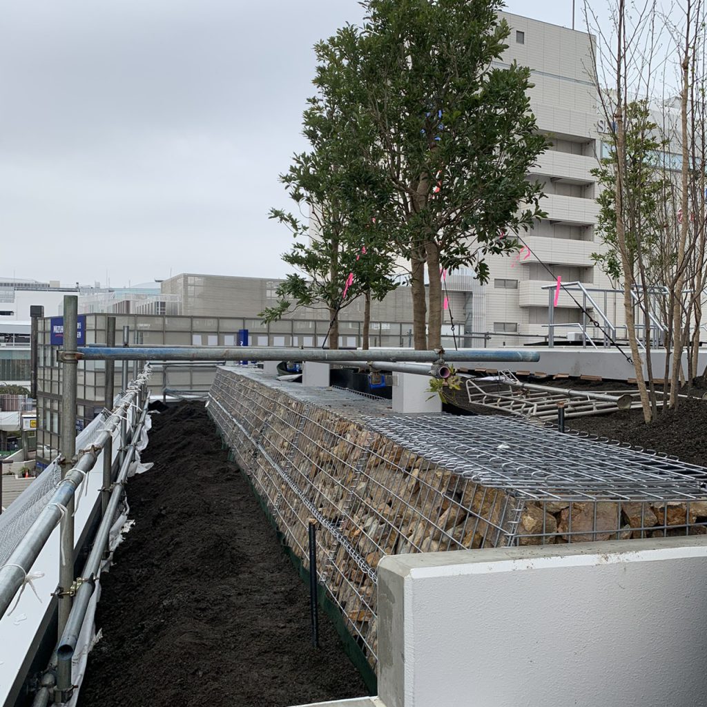 所沢駅西口ビル屋上庭園植栽施工例 第2弾 徳寿園 埼玉県川口市