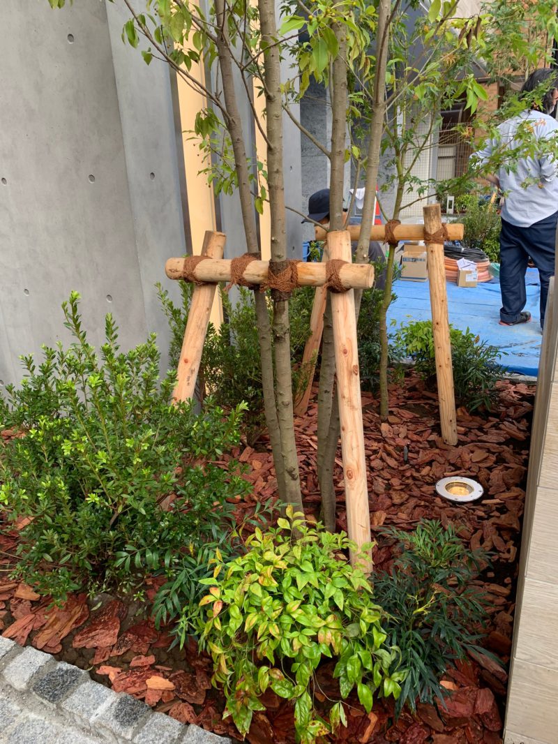 豊島区駒込で新築マンションの植栽工事施工例 徳寿園 埼玉県川口市